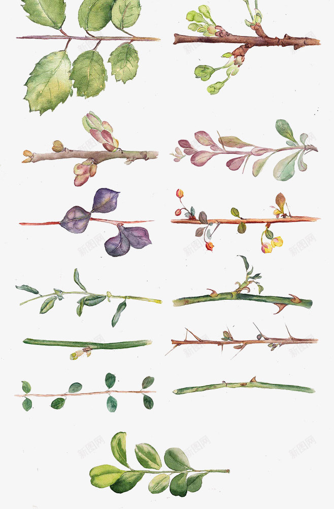 玫瑰水彩画png免抠素材_新图网 https://ixintu.com 小清新 手绘鲜花 水彩画 玫瑰 鲜花