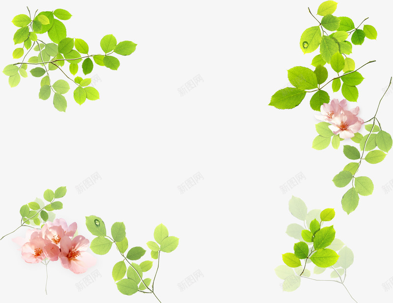 花草边框png免抠素材_新图网 https://ixintu.com 小清新 文艺 树叶 桃花 樱花