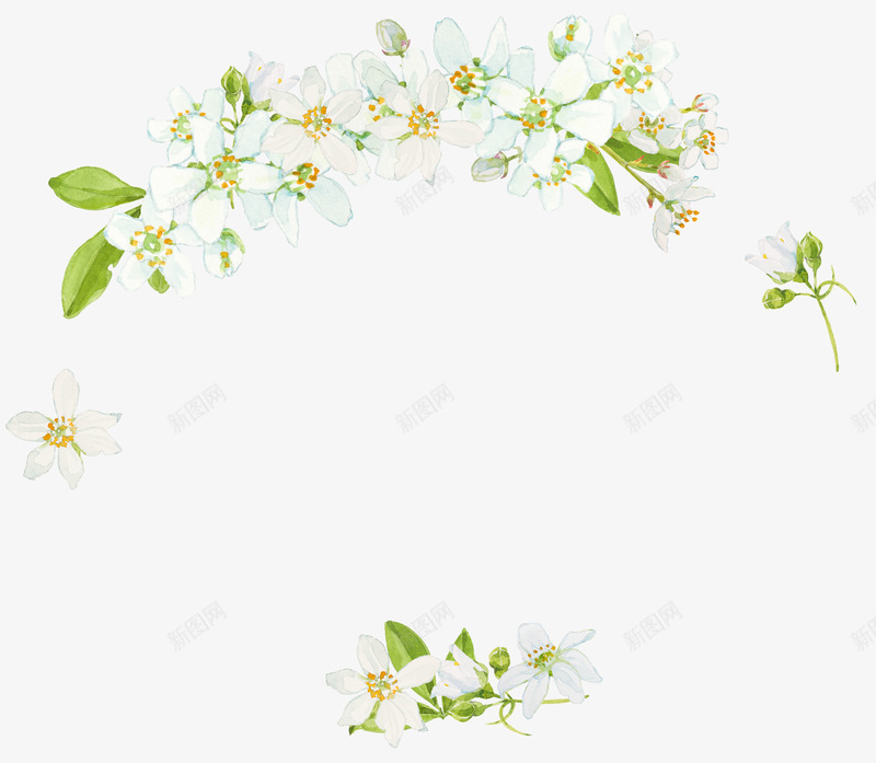 手绘清新花卉花框png免抠素材_新图网 https://ixintu.com 小清新花草装饰 文艺花草PPT制作 植物插画 海报设计 花卉花框 花草包装礼盒 花草插画 花草装饰