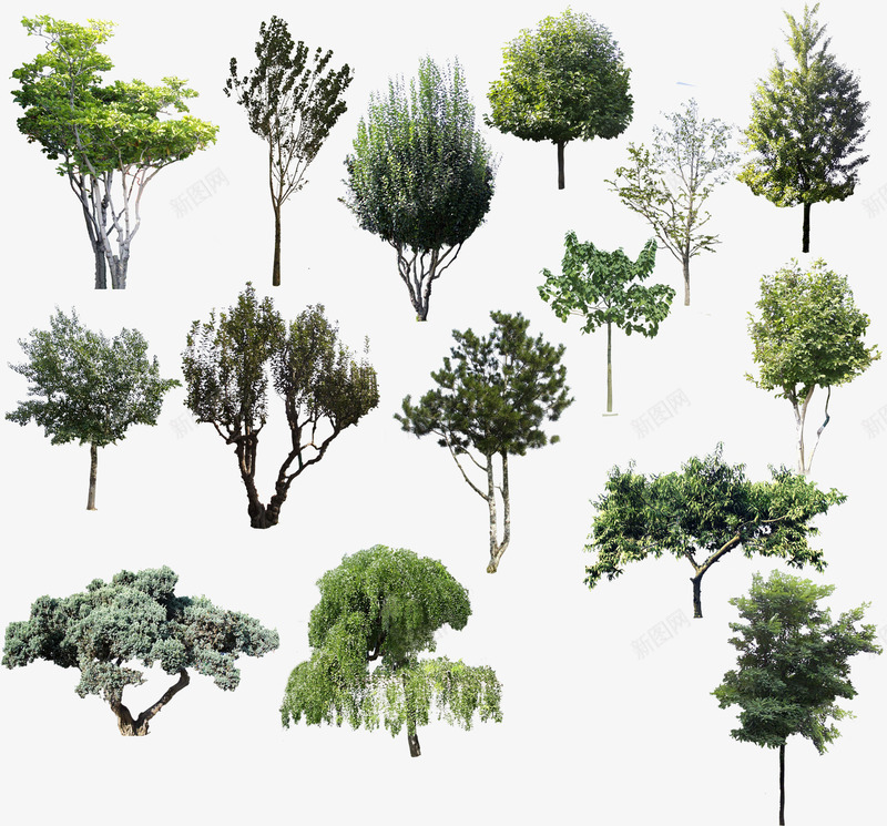 现代室外植物装饰效果图png免抠素材_新图网 https://ixintu.com 室外 效果图 植物 现代 装饰
