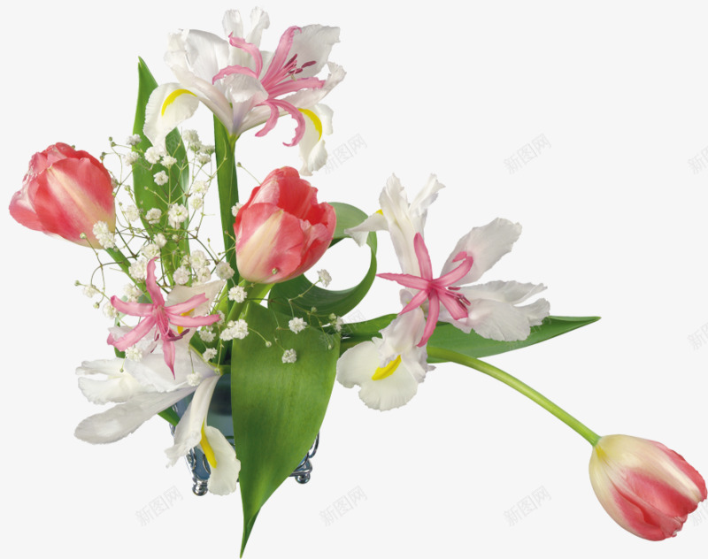 植物花卉花卉图案png免抠素材_新图网 https://ixintu.com ps花卉素材 植物花卉素材 水彩花卉素材 花卉ps素材 鲜花花草