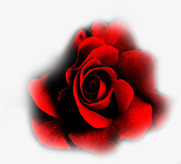 高档婚礼结婚请柬png免抠素材_新图网 https://ixintu.com 婚礼 结婚 请柬 高档