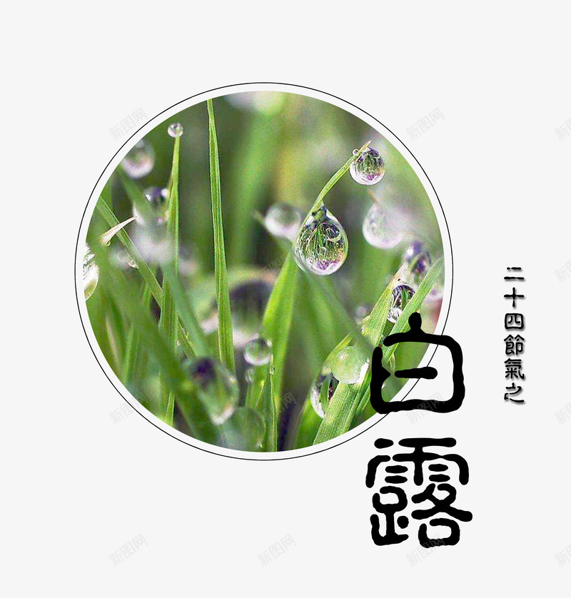 清新文艺白露图标psd免抠素材_新图网 https://ixintu.com 中国传统节气 二十四节气 图标 文艺 清新 白露
