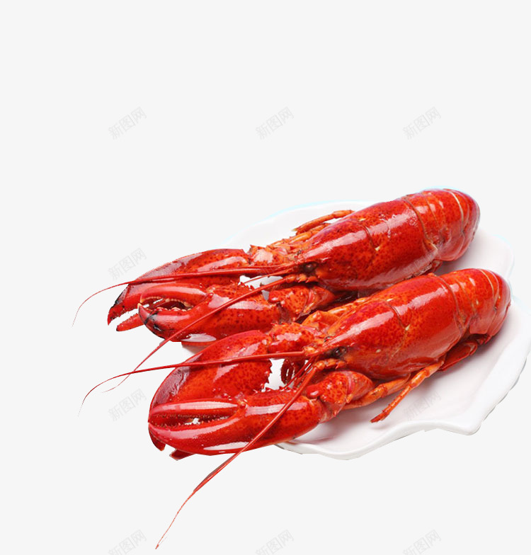 澳龙海鲜png免抠素材_新图网 https://ixintu.com 大龙虾 海鲜 澳龙 美味食品