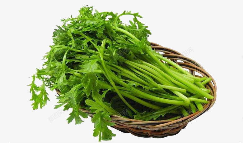 一篮茼蒿菜png免抠素材_新图网 https://ixintu.com 新鲜茼蒿 绿色蔬菜 茼蒿菜 青菜