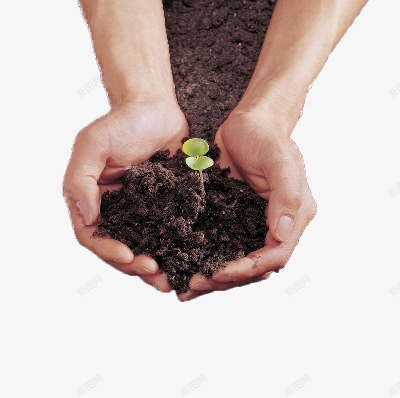 双手呵护下的幼芽png免抠素材_新图网 https://ixintu.com 双手 土壤 嫩芽 植树节