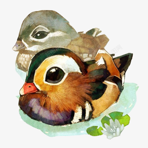 鸳鸯水彩画片png免抠素材_新图网 https://ixintu.com 情人节 成双入对 水彩画 鸳鸯
