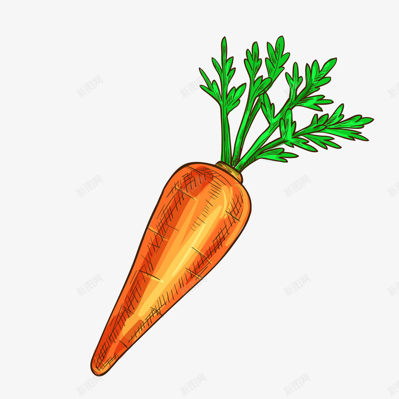 卡通手绘胡萝卜矢量图ai免抠素材_新图网 https://ixintu.com 植物 胡萝卜 菜单 菜市场 蔬菜 配菜 食材 矢量图