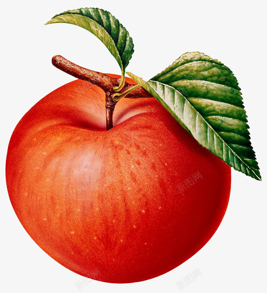 手绘苹果新鲜水果图标png_新图网 https://ixintu.com apple 一个苹果 水果 红富士 苹果