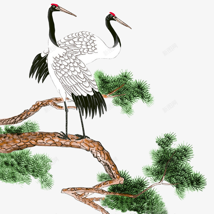水墨画丹顶鹤松针松树png免抠素材_新图网 https://ixintu.com 丹顶鹤 国画 松树 松针 水墨画 红顶鹤 雪松木