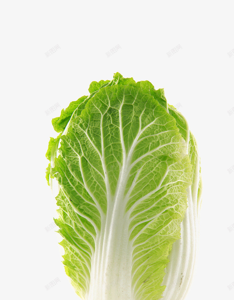 一颗大白菜png免抠素材_新图网 https://ixintu.com 一颗大白菜图 白菜 蔬菜 青菜