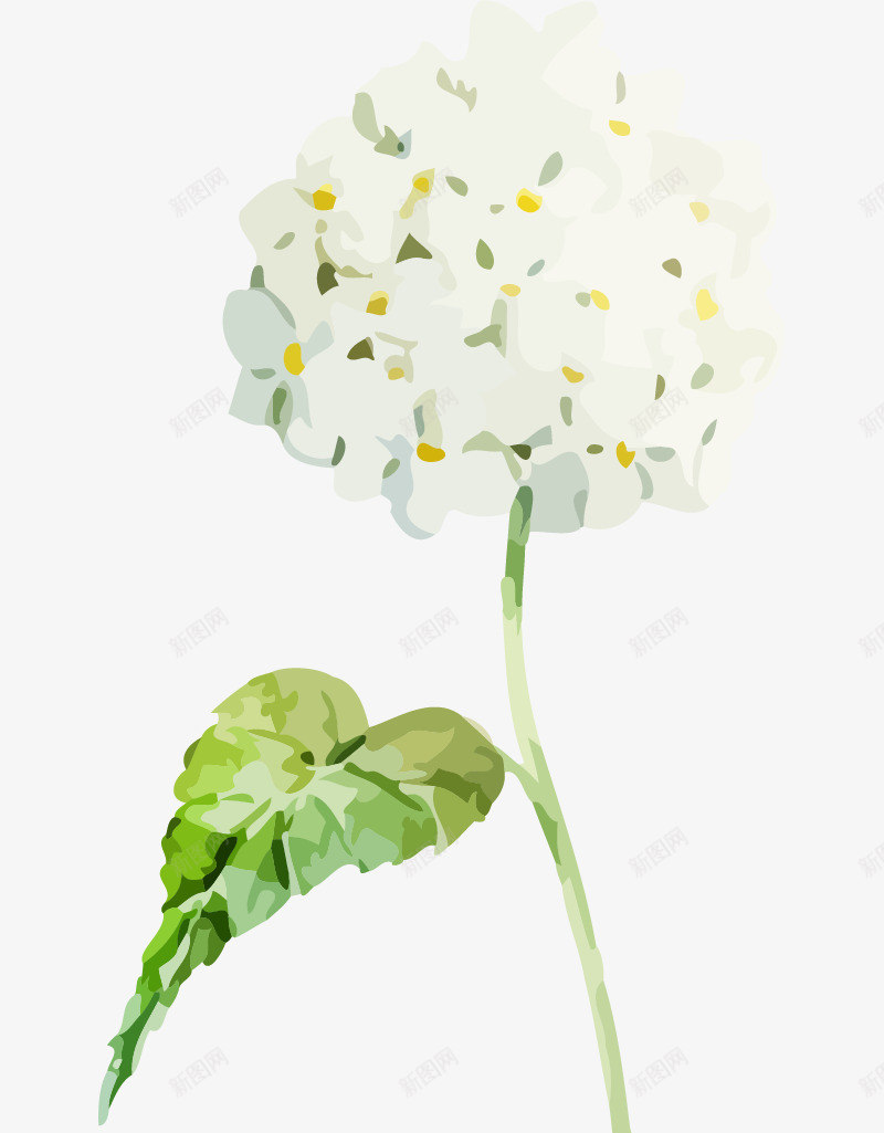 水彩绣球花png免抠素材_新图网 https://ixintu.com 卡通 可爱 园艺 手工 手绘 春季 水彩 水彩画 水彩花卉 绣球花 自然 花 花卉 花卉装饰 装饰 装饰品 观赏