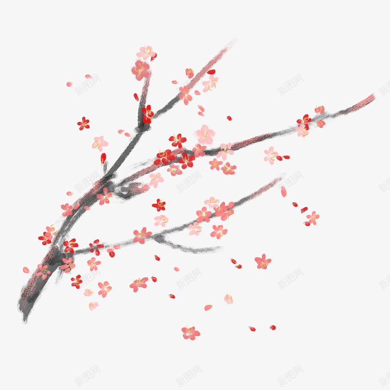 一枝红花出墙来png免抠素材_新图网 https://ixintu.com 元素 免扣 素材 艺术