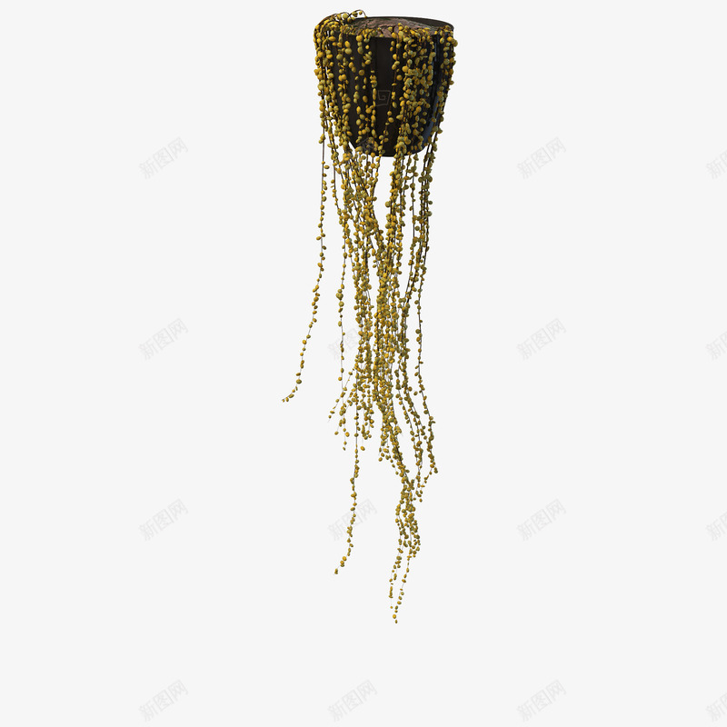 长草吊篮花png免抠素材_新图网 https://ixintu.com 吊篮花 悬挂花盆 植物 花盆 花草 长草吊篮花