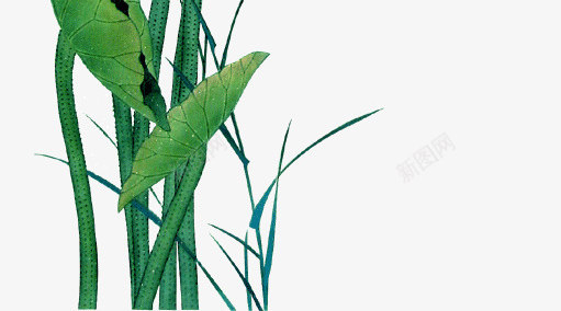 一株荷花png免抠素材_新图网 https://ixintu.com 一株 荷叶 荷花 莲叶 莲花
