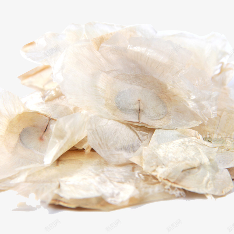 木蝴蝶药材png免抠素材_新图网 https://ixintu.com 产品实物 手抓 花草茶 药品 药材