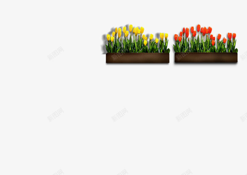 咖啡馆装饰花草文艺花架上的png免抠素材_新图网 https://ixintu.com 咖啡馆装饰花草文艺花架上的郁金香