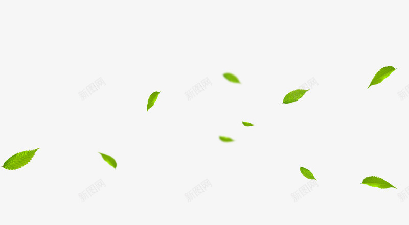 飘浮树叶png免抠素材_新图网 https://ixintu.com 植物 绿色