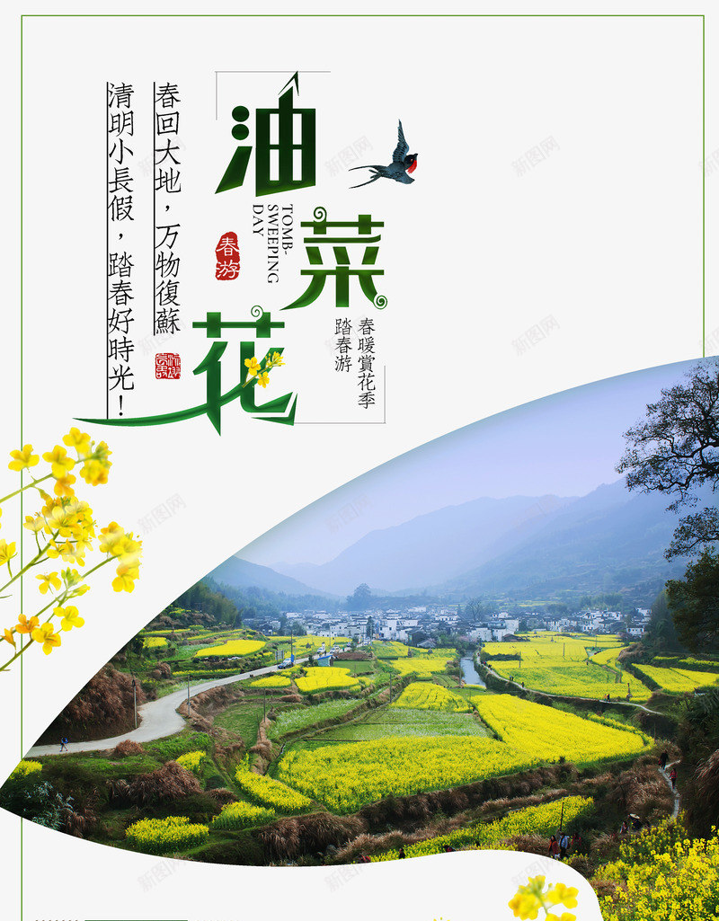 油菜花春回大地春季旅游png免抠素材_新图网 https://ixintu.com 旅游 春回大地 春季 油菜花