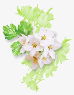 卡通白色花朵绿色花卉背景素材