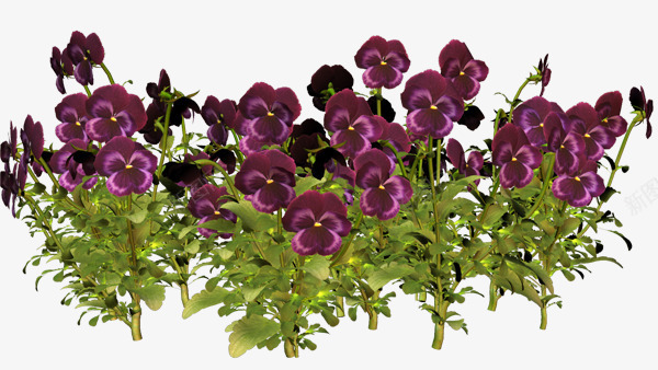绿植花卉水彩花草png免抠素材_新图网 https://ixintu.com 花卉ps素材 花卉图案 花卉素材 花卉背景素材 花草画