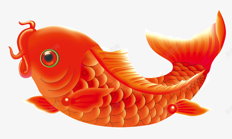 红色吉祥锦鲤png免抠素材_新图网 https://ixintu.com 吉祥 好运锦鲤 新年 红的 连年有余 锦鲤 鲤鱼