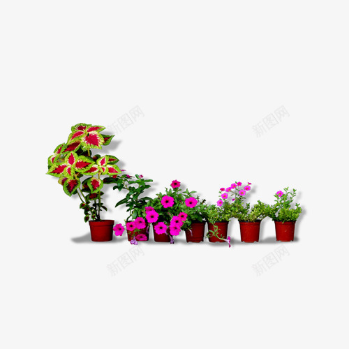 一排红色花草png免抠素材_新图网 https://ixintu.com 一排花朵 一行小花朵 花 花丛 花草
