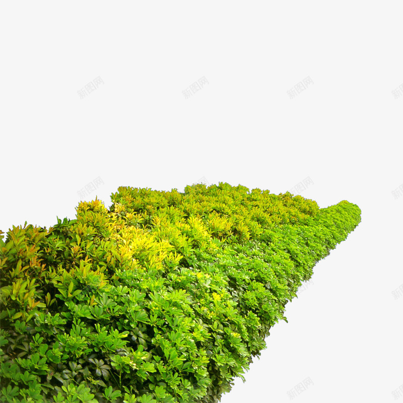 园林花草树木花束花卉png免抠素材_新图网 https://ixintu.com 建筑绿化装饰绿色植物红花