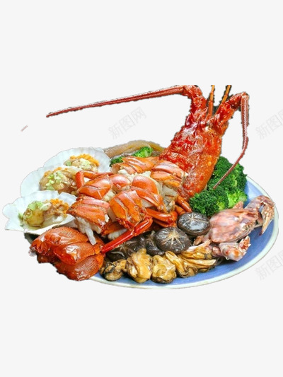 虾类海鲜png免抠素材_新图网 https://ixintu.com 海鲜 装饰 食物
