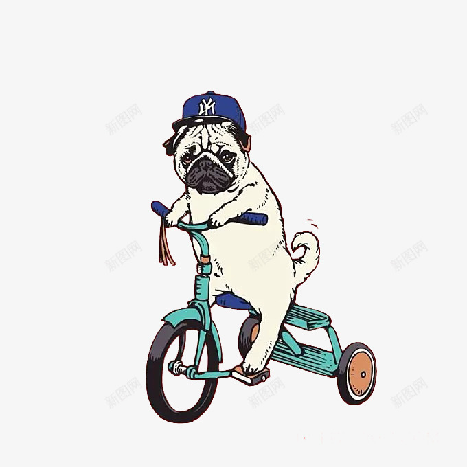八哥犬卡通png免抠素材_新图网 https://ixintu.com 中华犬 八哥犬 卡通 品种 犬类 蠢萌 骑车