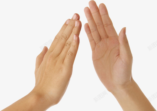 手势系列png免抠素材_新图网 https://ixintu.com gesture 手势 手势大全 手势解读 手语