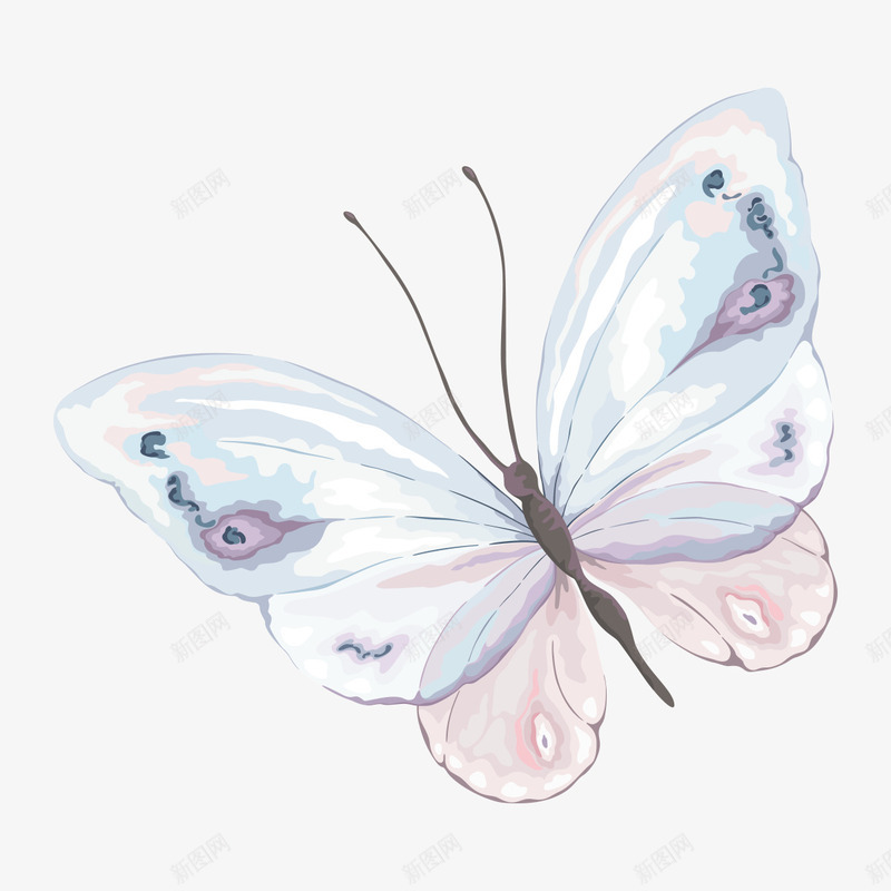 手绘彩蝶png免抠素材_新图网 https://ixintu.com 彩色 彩蝶 插图 水彩彩绘 漂亮 蝴蝶 装饰图案