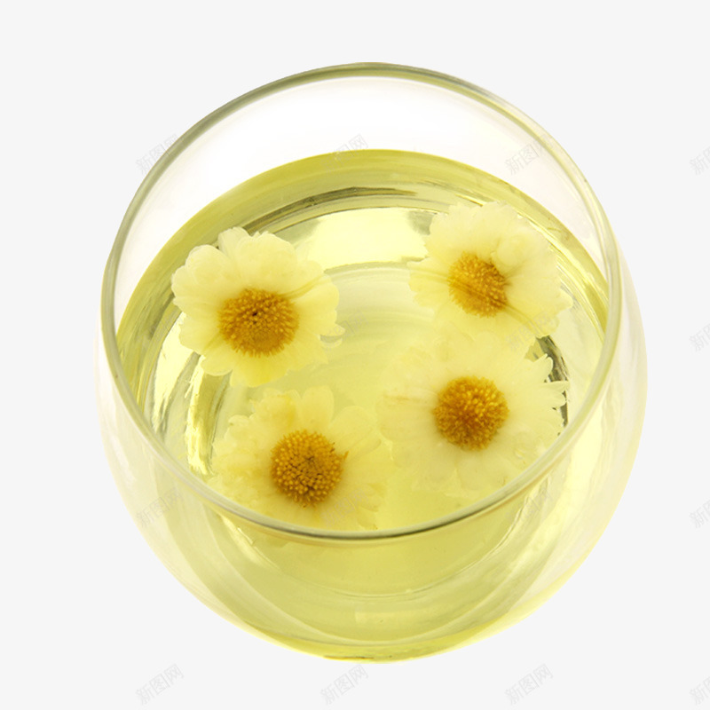 一杯菊花茶png免抠素材_新图网 https://ixintu.com 一杯菊花茶 产品实物 养生 桐乡菊花茶 特级杭白菊 花草茶 菊花图案