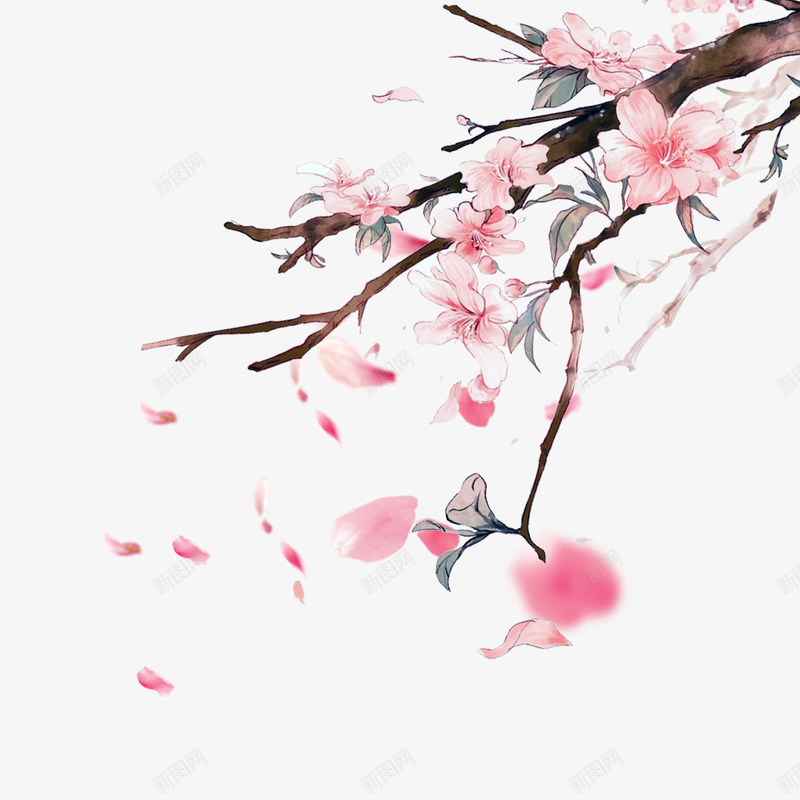 桃花psd免抠素材_新图网 https://ixintu.com 中国风 粉色 花枝 装饰图案