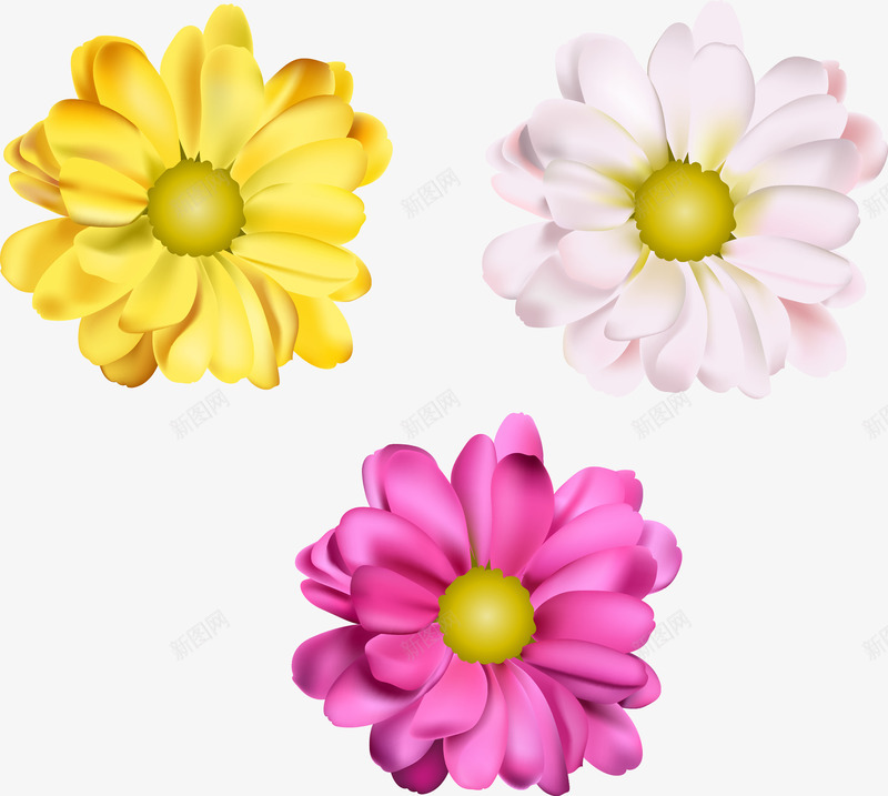 手绘小雏菊png免抠素材_新图网 https://ixintu.com daisy 写实 小雏菊 彩色花朵 手绘 粉色花朵 花瓣 菊花 黄色花朵
