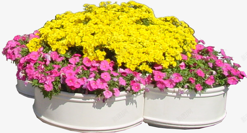 花圃花坛园艺png免抠素材_新图网 https://ixintu.com 园艺 绿化 自然 花坛 花草 黄色粉色
