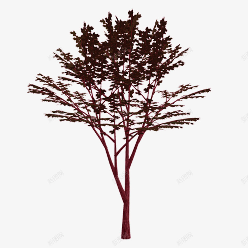 园林景观树木花草png免抠素材_新图网 https://ixintu.com 园林 景观 树木 花草