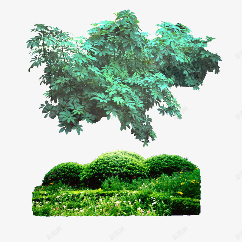 园林花草树木花束花卉psd免抠素材_新图网 https://ixintu.com 建筑绿化装饰绿色植物红花