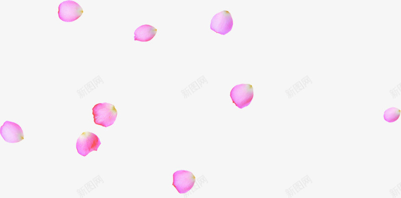 中秋节粉色花瓣海报png免抠素材_新图网 https://ixintu.com 中秋节 海报 粉色 花瓣