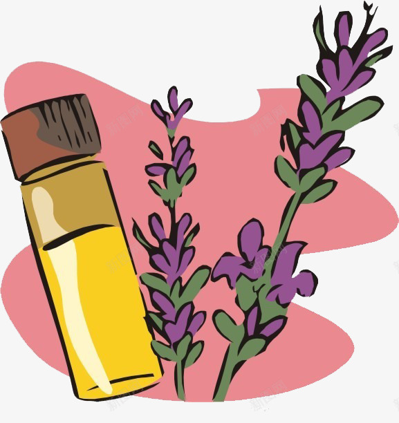 手绘薰衣草png免抠素材_新图网 https://ixintu.com 手绘 花草 薰衣草 香