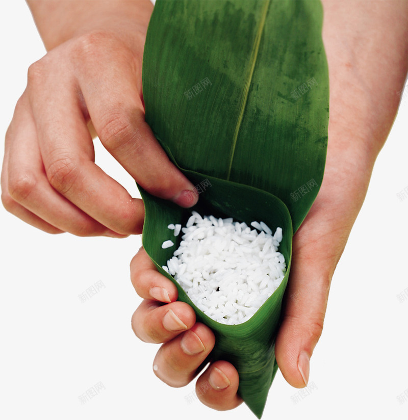 端午节糯米粽子芦苇叶子png免抠素材_新图网 https://ixintu.com 叶子 端午节 粽子 糯米 芦苇