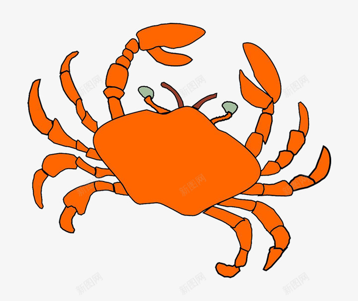 手绘海蟹png免抠素材_新图网 https://ixintu.com 卡通海蟹 卡通蟹 大海蟹 手绘海蟹 海蟹 螃蟹 蟹
