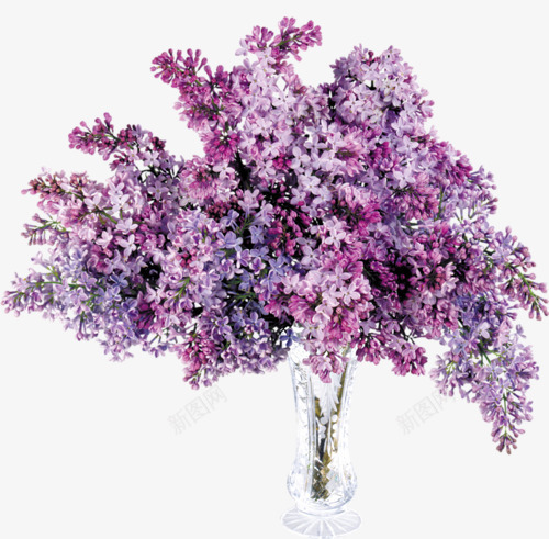 花卉画装饰图标png_新图网 https://ixintu.com 卡通装饰 卡通装饰素材 唯美花卉图片 线描花草 花卉插画 花草ps素材 花草素材