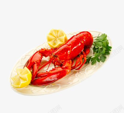 盘子里的大龙虾png免抠素材_新图网 https://ixintu.com png图片素材 产品实物 免费png元素 免费png素材 冷冻 海鲜 生鲜食品 盘子里的大龙虾 绿色食品
