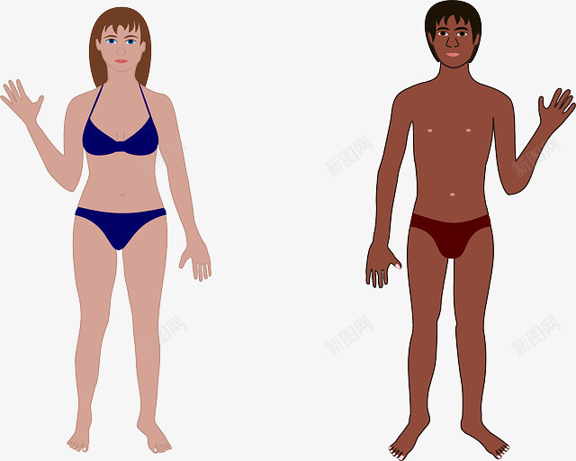 泳装情侣手绘png免抠素材_新图网 https://ixintu.com 女郎 性感 手绘 比基尼 泳装 男性