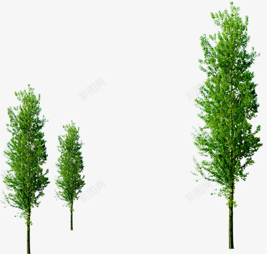 春季清新景观公园植物风景png免抠素材_新图网 https://ixintu.com 公园 春季 景观 植物 清新 风景