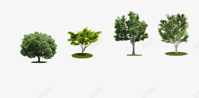 植物png免抠素材_新图网 https://ixintu.com 效果图 景观 植物 灌木