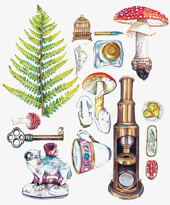 水彩文艺小物png免抠素材_新图网 https://ixintu.com 卡通 叶子 手绘 插画 杯子 蘑菇 钥匙