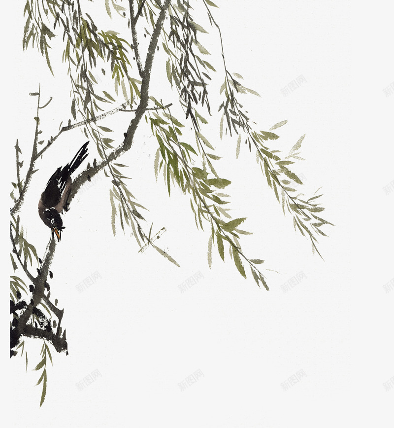 水墨国画柳树叶喜鹊png免抠素材_新图网 https://ixintu.com 喜鹊 国画 柳树 水墨