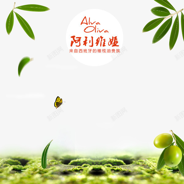 绿色背景图png免抠素材_新图网 https://ixintu.com 主图模板 叶子 橄榄果 绿色